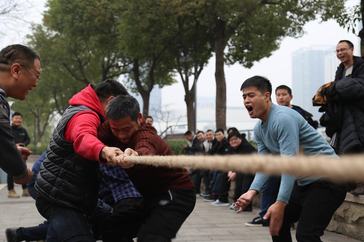 yp街机·电子游戏(中国)最新官网